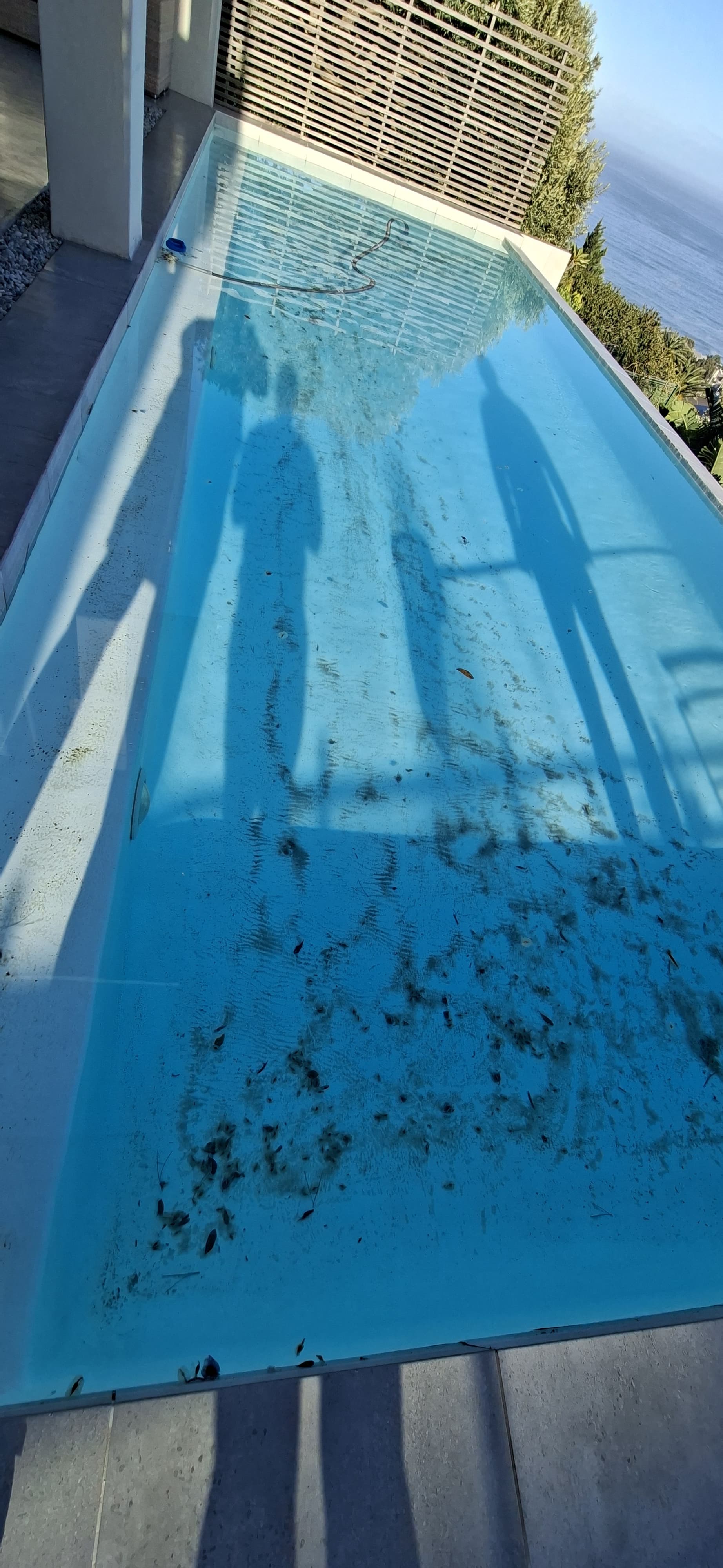 Water clarity and filter clean - Bantry Bay